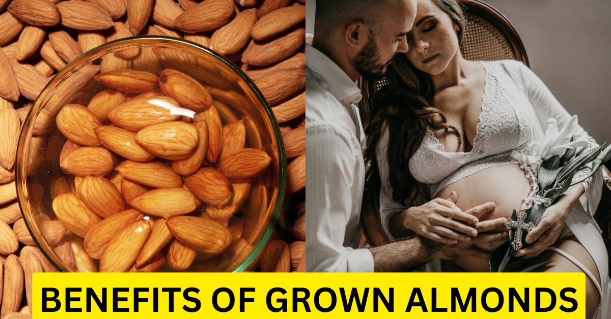 Benefits of Grown Almonds